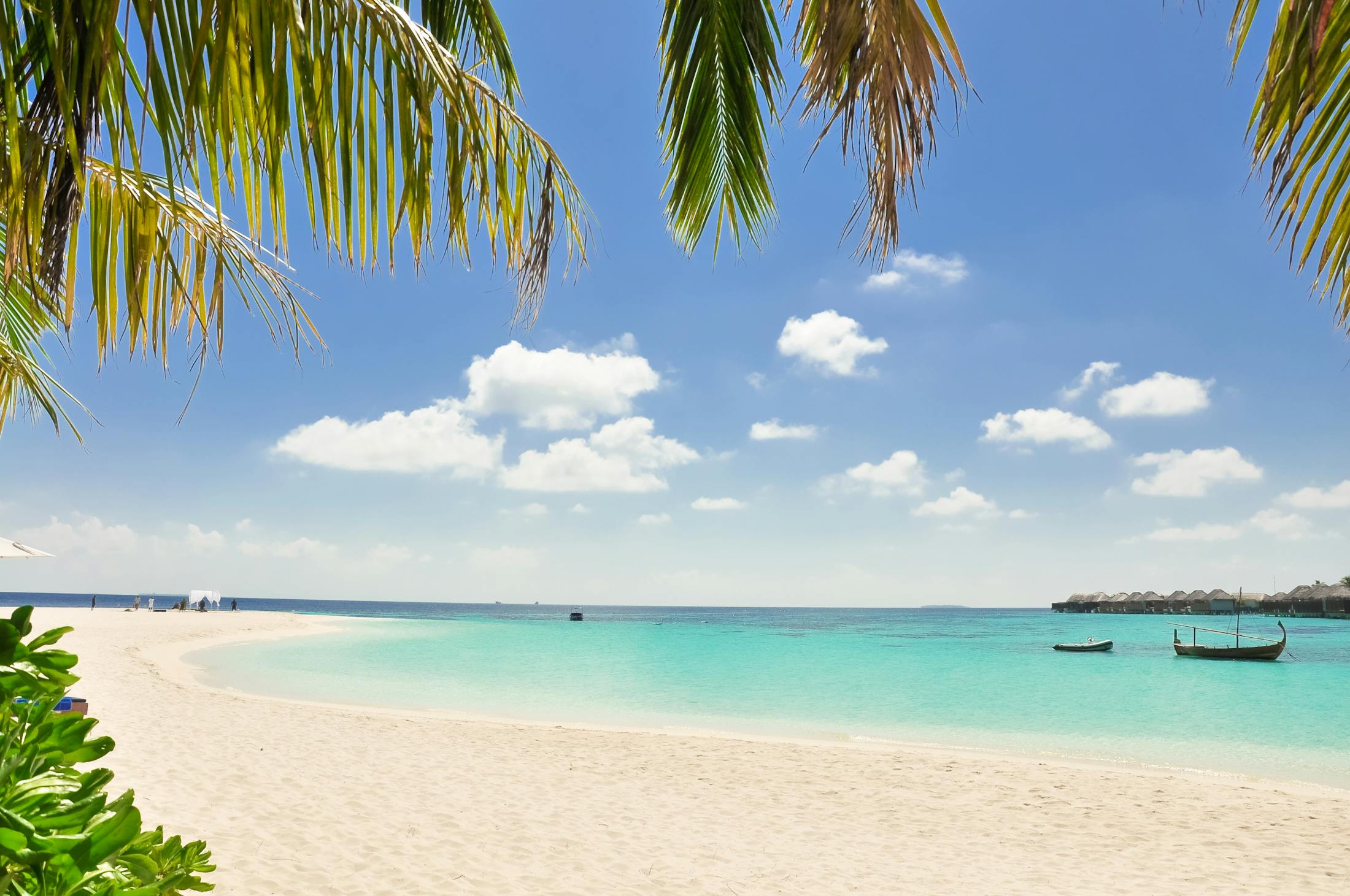 Playa tropical Punta Cana